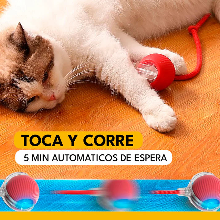 FeliMotion™ - Bienestar y juego inteligente para tu gato